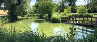 Gîte de Blanche en Champagne