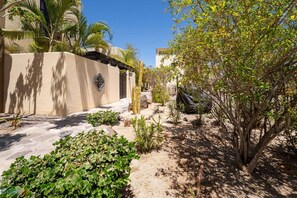 A courtyard with a palm tree, a cactus, and a small bush.