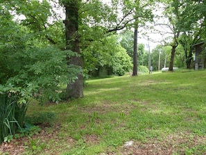 Escape to a serene natural oasis with a lush lawn and mature trees.