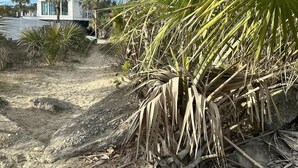 A multi-story beachfront property with a sandy foreground and palm trees. - The Lookout | Private Pool | Steps to Beach & Pier | Newly Built (Folly Beach)