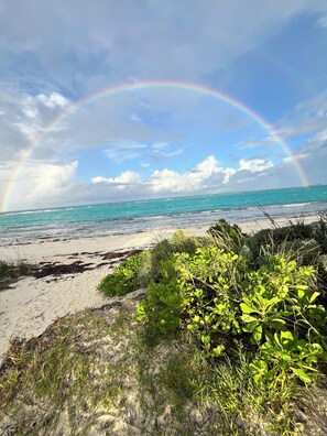 Beach - Sea cottage 2/1 in white sound on GTC Abaco Bahamas full kitchen, AC & WiFi (Abaco)