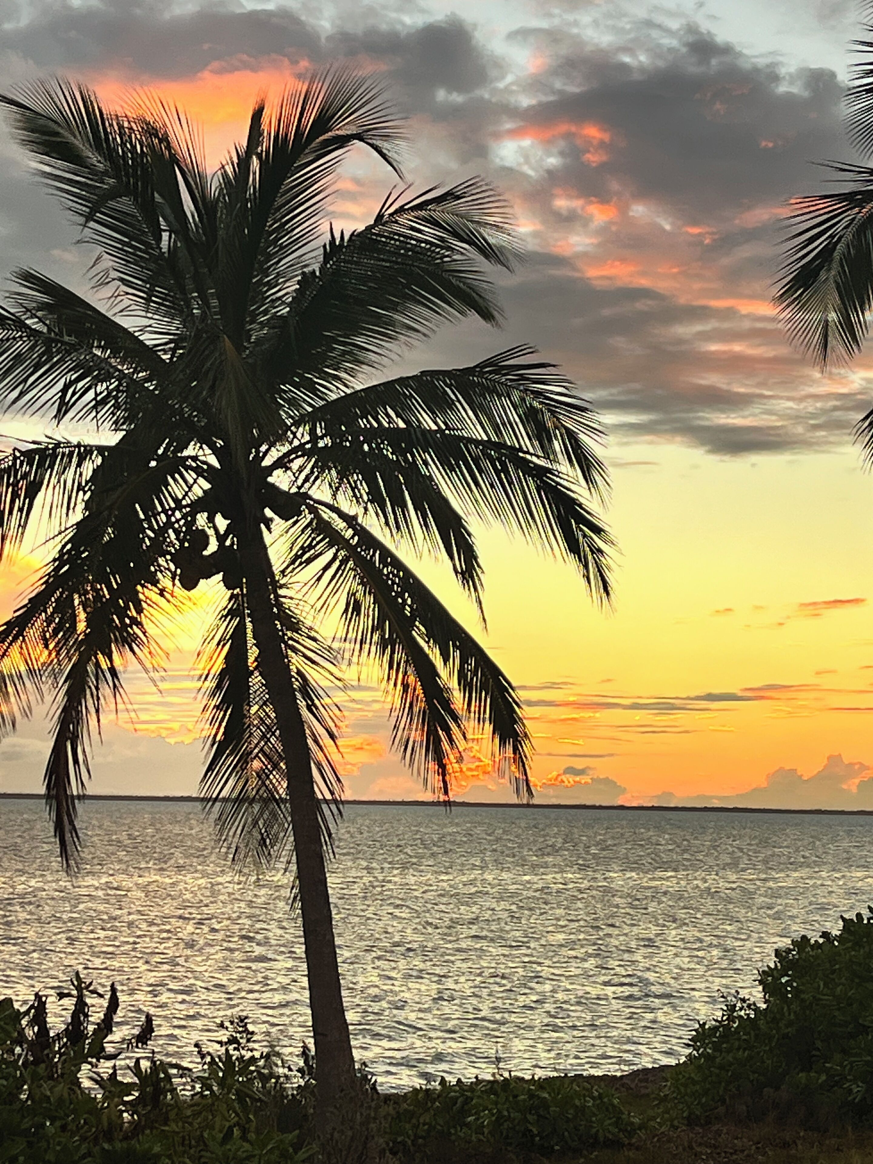 Eine Silhouette einer Palme vor einem Sonnenuntergang mit Blick aufs Meer.