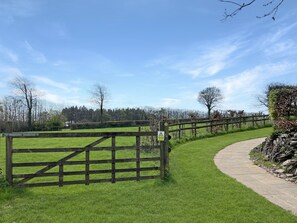 Property grounds - Hillside, Nr Wiveliscombe (Nr Wiveliscombe)