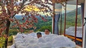 Ein Zimmer mit großem Fenster, einem Bett und einem Baum mit rosa Blüten.