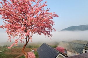 A tree with pink blossoms in a rural setting with houses and a misty background.
