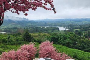 Utsikt fra overnattingsstedet