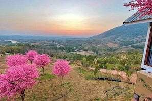 A view from a balcony overlooking a valley with cherry blossoms and distant hills. - Sirine Onsen (Khao Kho)