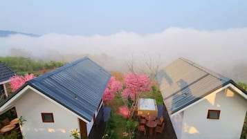 A residential area with houses featuring sloped roofs and a garden with pink flowering trees.