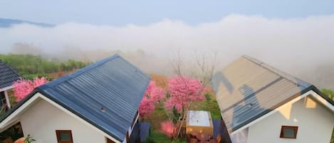 A residential area with houses featuring sloped roofs and a garden with pink flowering trees.