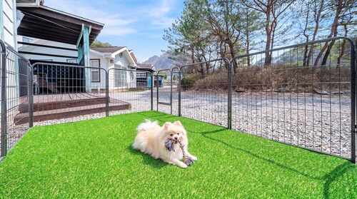Yeongwol Nature & Retreat