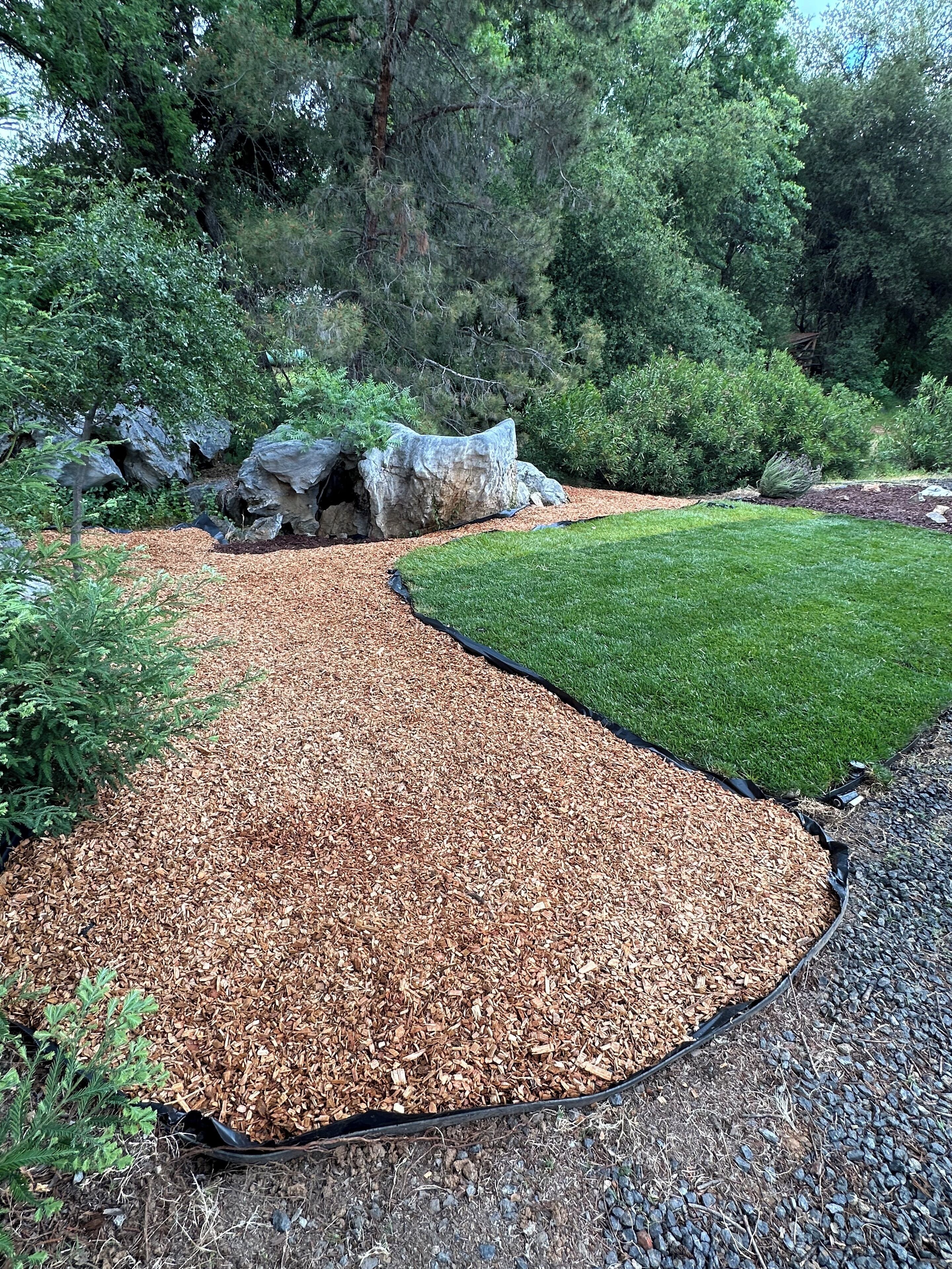 Un jardin aménagé avec un sentier sinueux recouvert de paillis, une pelouse et des arbres tout autour.