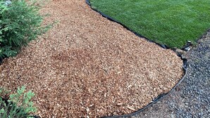 A landscaped garden with a curved mulch path, a grassy area, and surrounding trees.