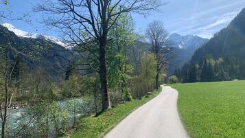 A paved path alongside a river, surrounded by trees and mountains.