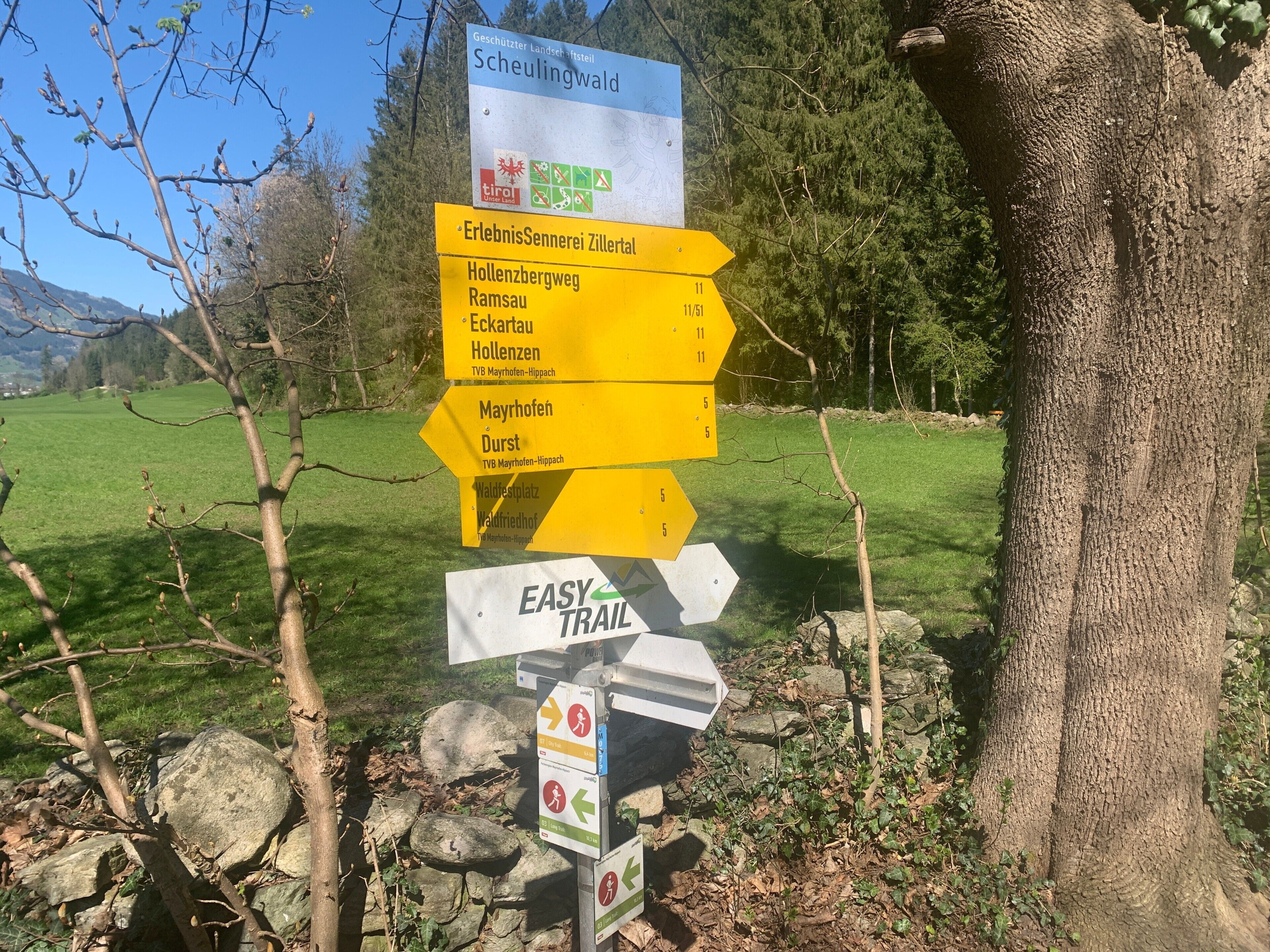 En vejskilte med flere pile, der peger i forskellige retninger, herunder mod 'Scheulingwald' og 'Hollenbergweg'.