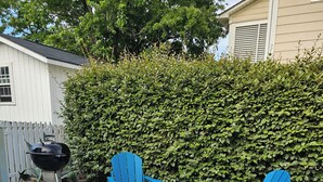 Un jardin avec un barbecue, deux chaises Adirondack bleues et un foyer installé sur un tapis à motifs.