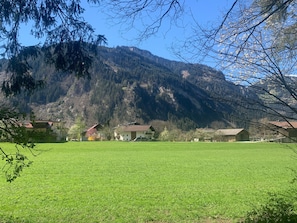 A rural landscape with a green field, several buildings with red roofs, and a mountain in the background. - Holiday Home 'Durst 2' with Mountain View, Shared Garden and Wi-Fi (Mayrhofen)