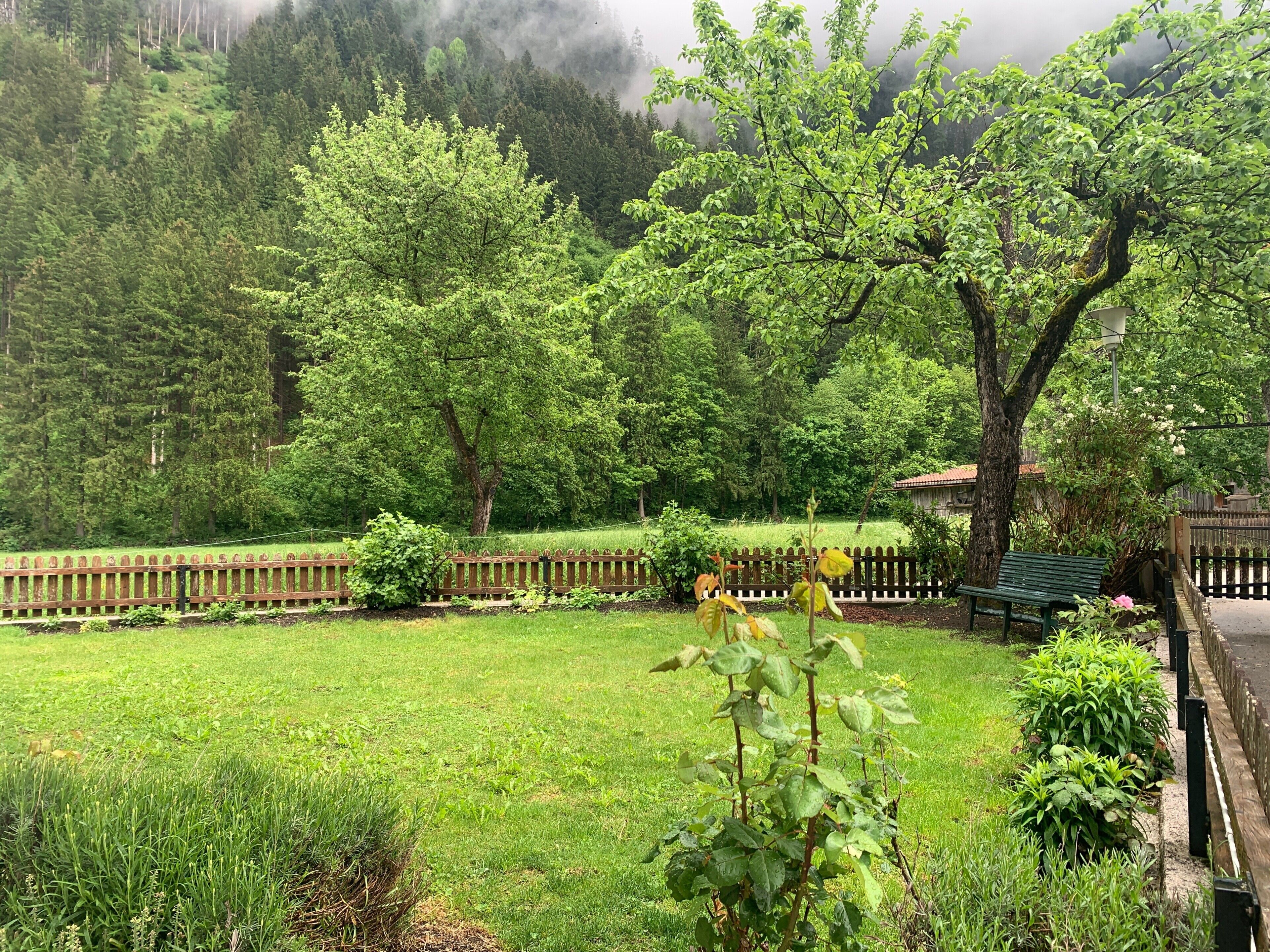 Parco della struttura