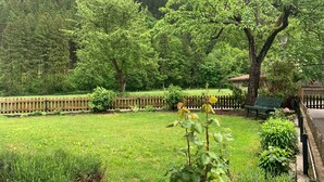 Un jardin luxuriant, verdoyant, avec une clôture en bois, un banc et une variété d’arbres.