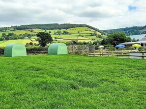 Property grounds - Green Dragon and Kitchen Pod - Sleeps 2 & Parking (Welshpool)