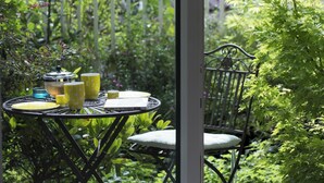 A garden patio with a table and chair, surrounded by lush greenery.