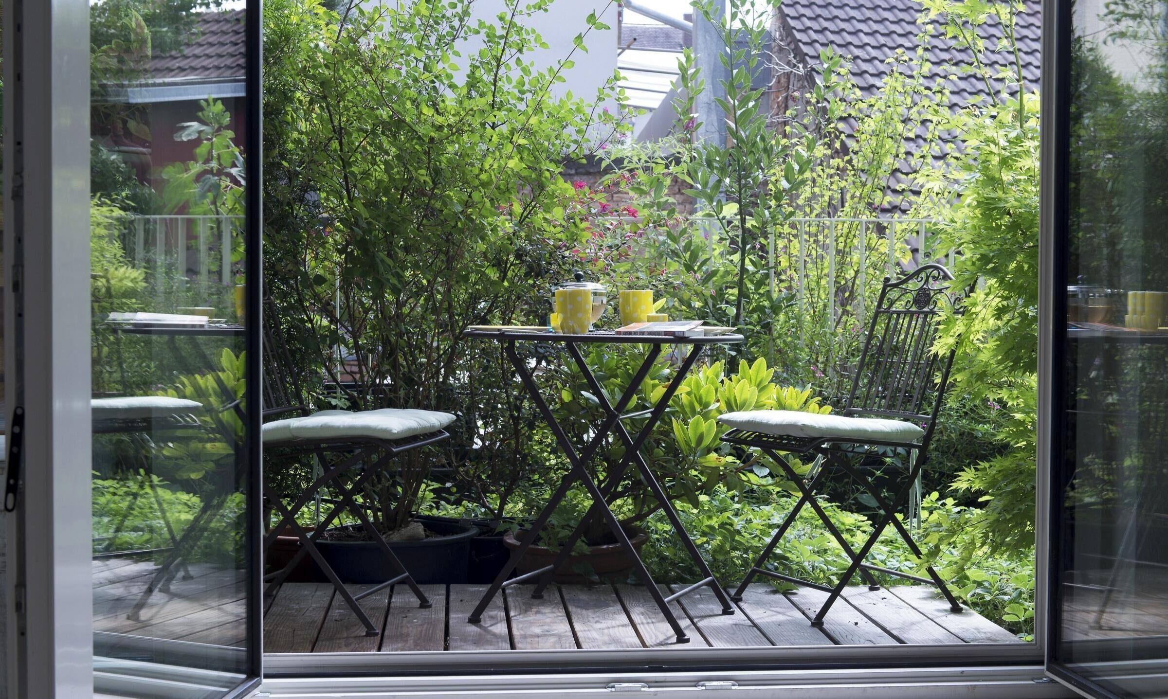 Une terrasse extérieure avec une table et des chaises, entourée d’une végétation luxuriante.