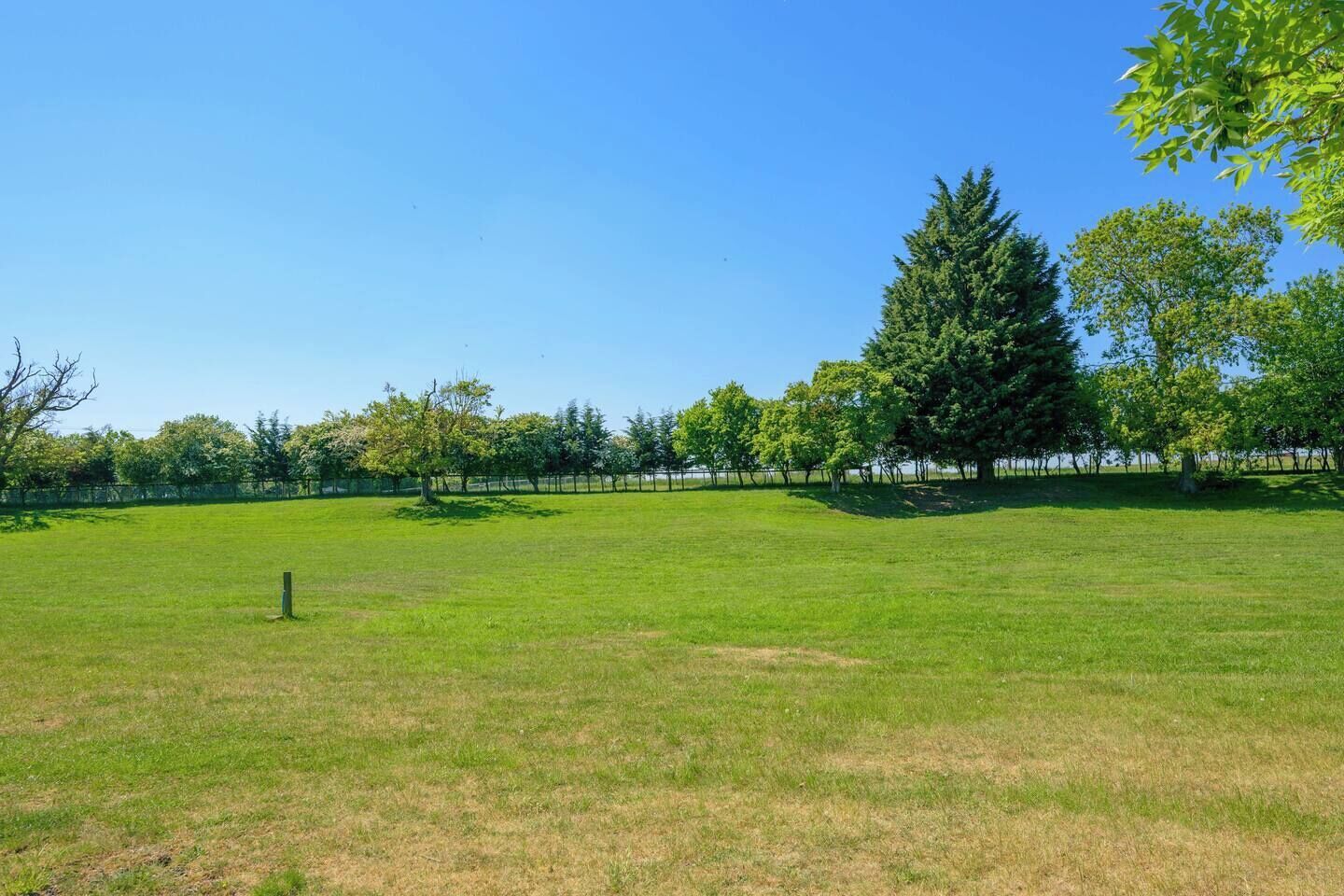 Een grasveld met bomen en een hek op de achtergrond.
