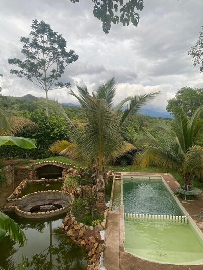 Amazon Paradise WiFi Starlink Work or Relax