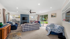 Smart TV, fireplace, DVD player, books