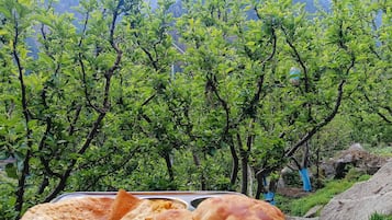 Free daily full breakfast