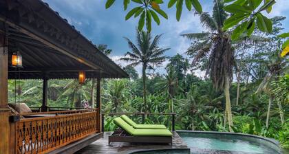 Lumina Wellness Retreat