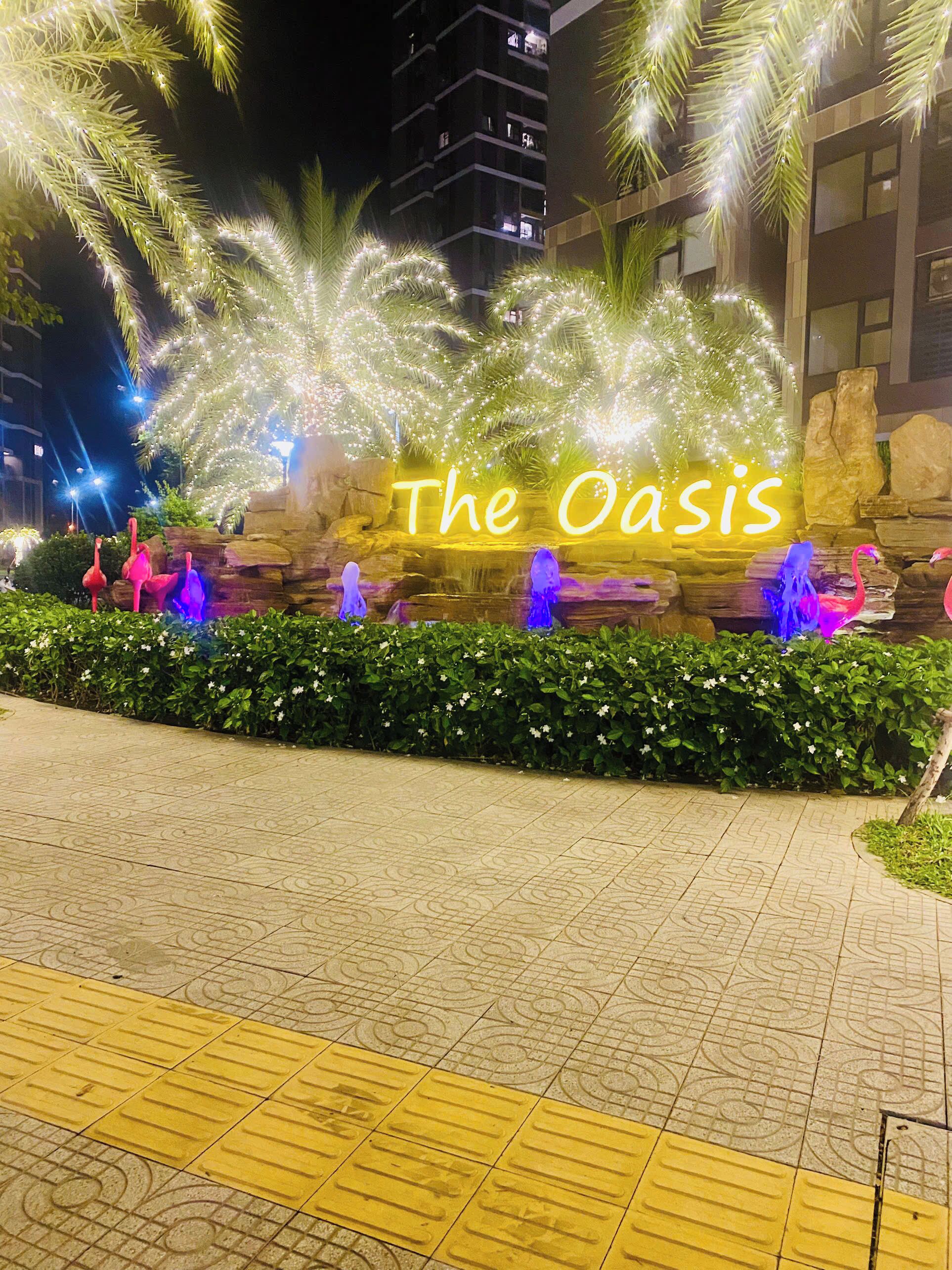 Un espacio exterior iluminado de noche con la leyenda 'The Oasis', rodeado de plantas decorativas y un muro de piedra.