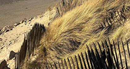 Merlimont Plage Ă 2 pas de la mer