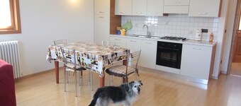 COMFORTABLE APARTMENT: SPECIAL YOUR STAY IN THE MAJESTIC DOLOMITES