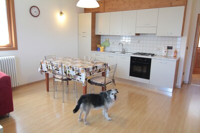 COMFORTABLE APARTMENT: SPECIAL YOUR STAY IN THE MAJESTIC DOLOMITES