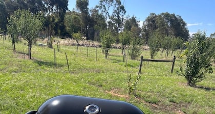 Newly renovated Farm cottage, 5 minutes drive to Murray River