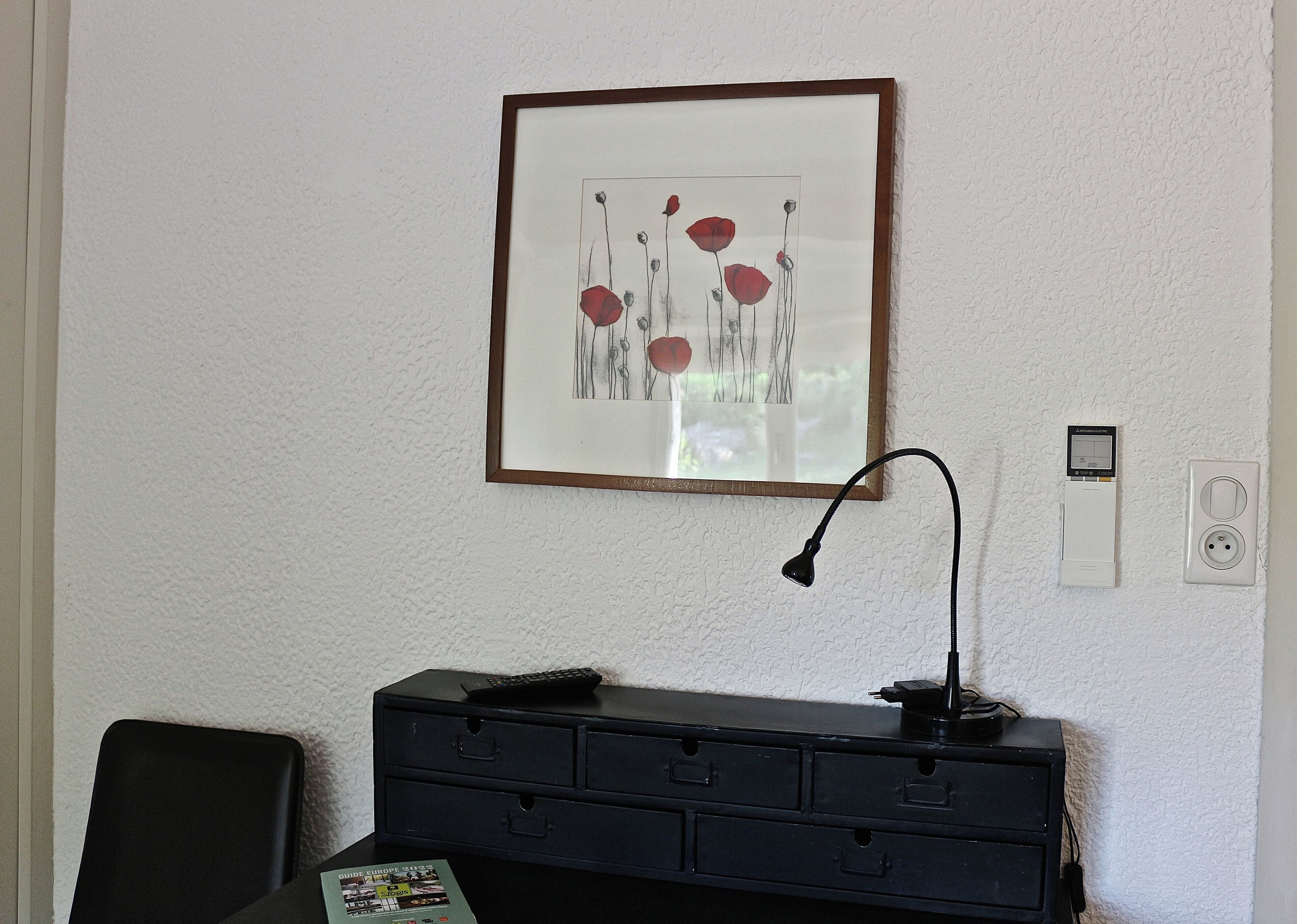 Une pièce avec un tableau encadré représentant des fleurs rouges accroché au mur, un bureau noir avec des tiroirs, une lampe et une prise électrique avec un interrupteur.