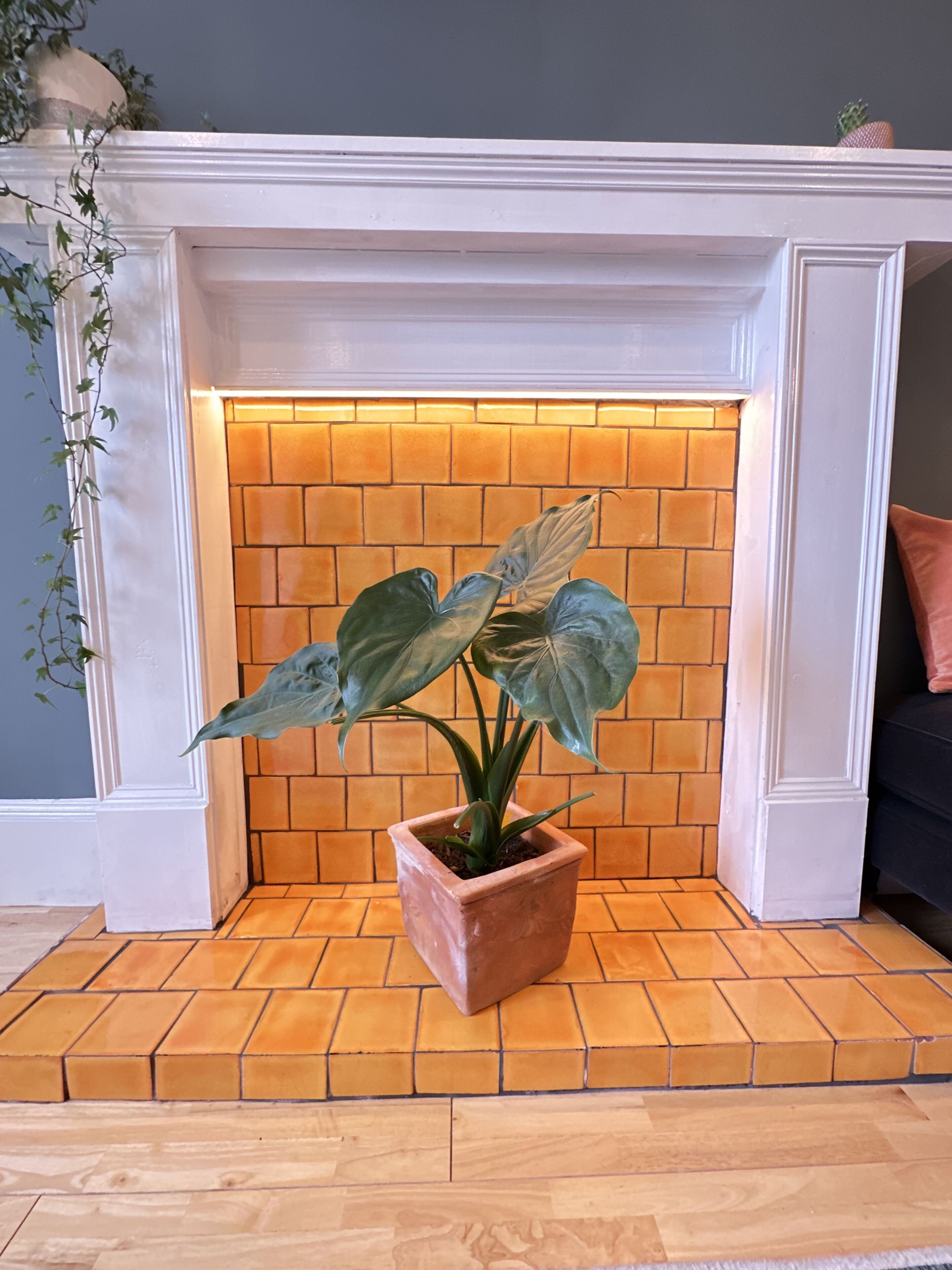 Une plante en pot placée devant une cheminée carrelée surmontée d’une étagère blanche.
