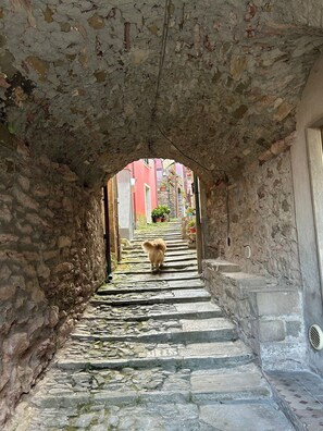 المنطقة المحيطة بالمنشأة