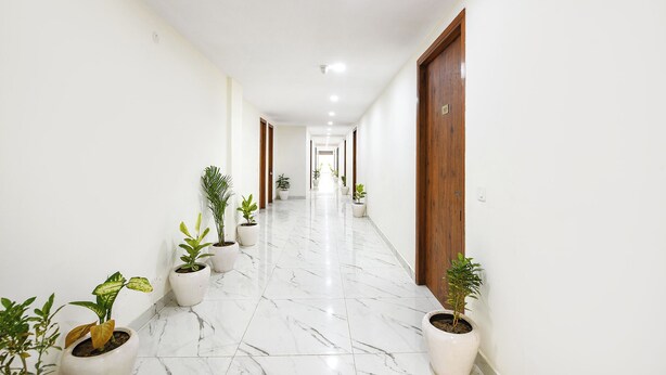 A long, narrow hallway with white walls and a marble floor. There are several potted plants placed along the sides of the hallway. - Fabhotel Evergreen (Faridabad)