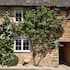 Cosy 1BD Cottage Retreat in Oxfordshire