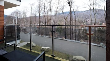 Vista desde la habitación