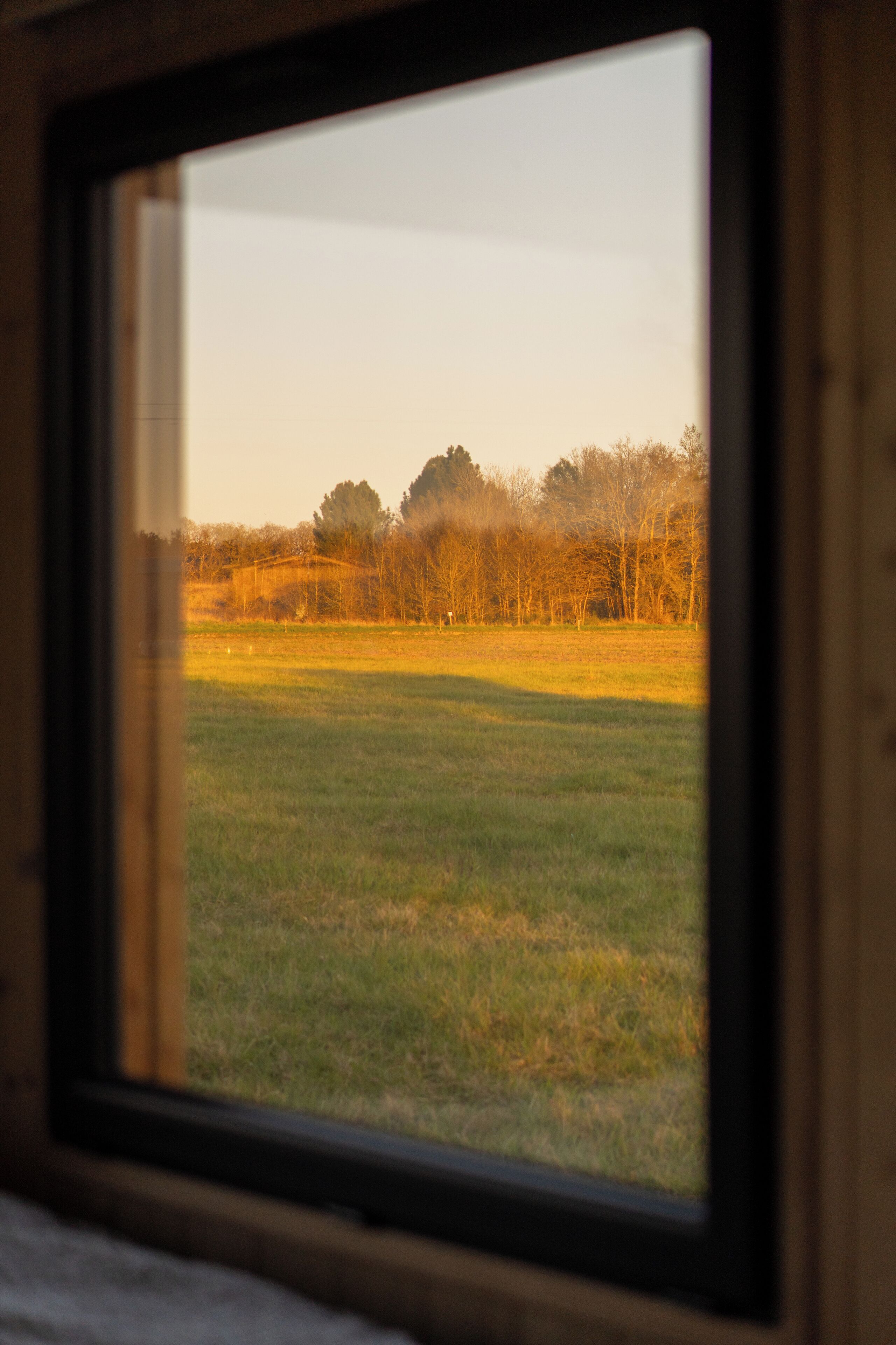 A window with a view of a grassy field and trees in the distance.
