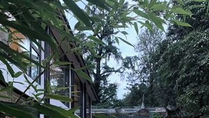A modern house with a glass conservatory, surrounded by lush greenery. - Chengdu Qingyang Palatio Huajian Mansion (Chengdu)