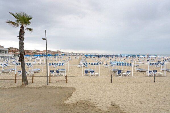 A beach with rows of blue and white sun loungers, a palm tree, and a clear sky.