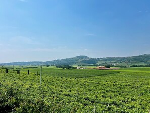 Miscellaneous - 45 m² Soundproof Room with Private Bathroom and Terrace – Up to 4 Guests (Illasi)