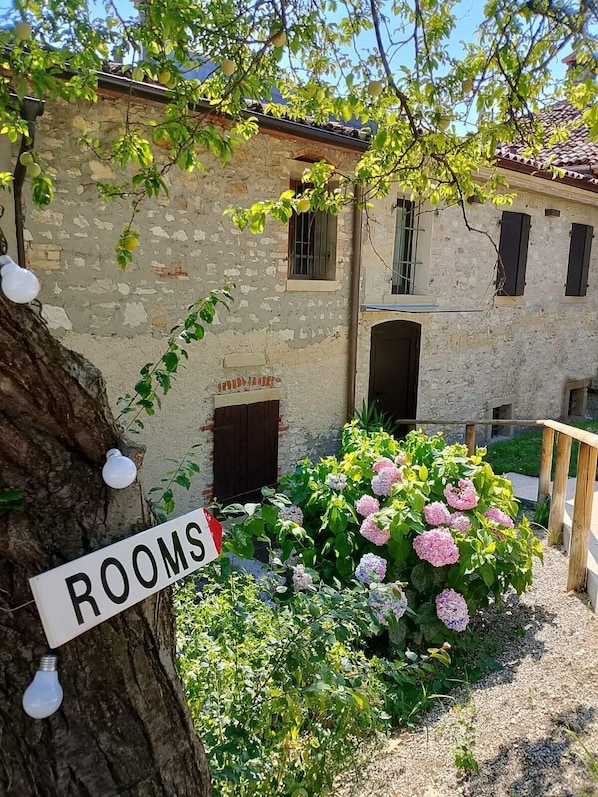 A stone building with a sign indicating "ROOMS" and a garden with hydrangeas.