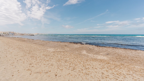 A beach with a clear sky and calm sea.