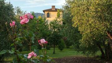 Parco della struttura