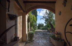 Terraza o patio