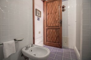 Shower, hair dryer, bidet, towels